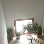 Darko Apartament *